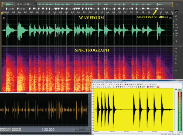 Audio Forensics - Forensic audio enhancement Services - Audio Expert